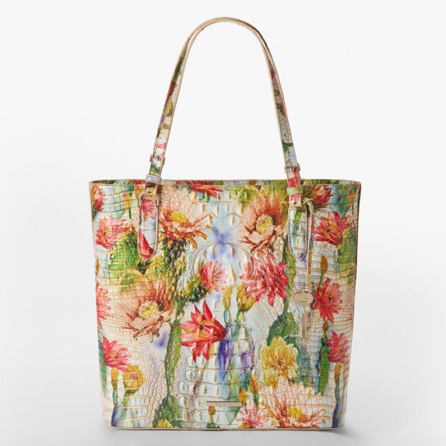 Brahmin Ezra - Succulent Bloom Melbourne  Brahmin Ezra - Succulent Bloom Melbourne