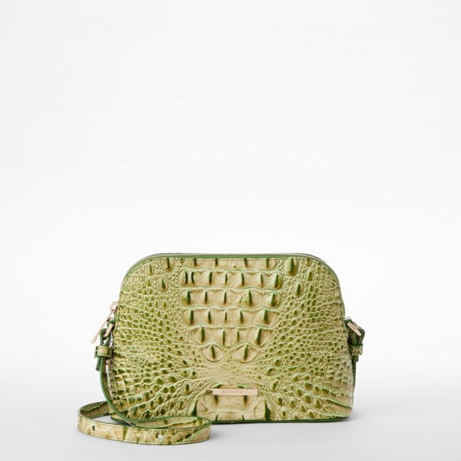 Brahmin Amal - Fern Melbourne Brahmin Amal - Fern Melbourne