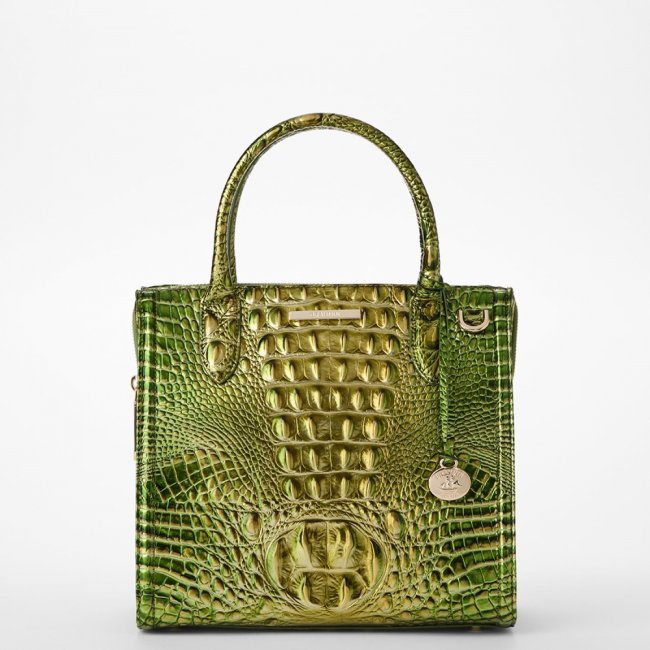 Brahmin Small Caroline - Cacti Green Melbourne Brahmin Small Caroline - Cacti Green Melbourne