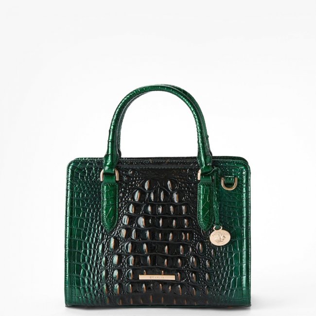 Brahmin Cami Leather Satchel - Evergreen Ombre Brahmin Cami Leather Satchel - Evergreen Ombre